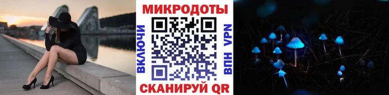 Псилоцибиновые грибы Psilocybe  Семилуки 